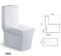 Modern one piece bathroom toilet s-trap p-trap 2663
